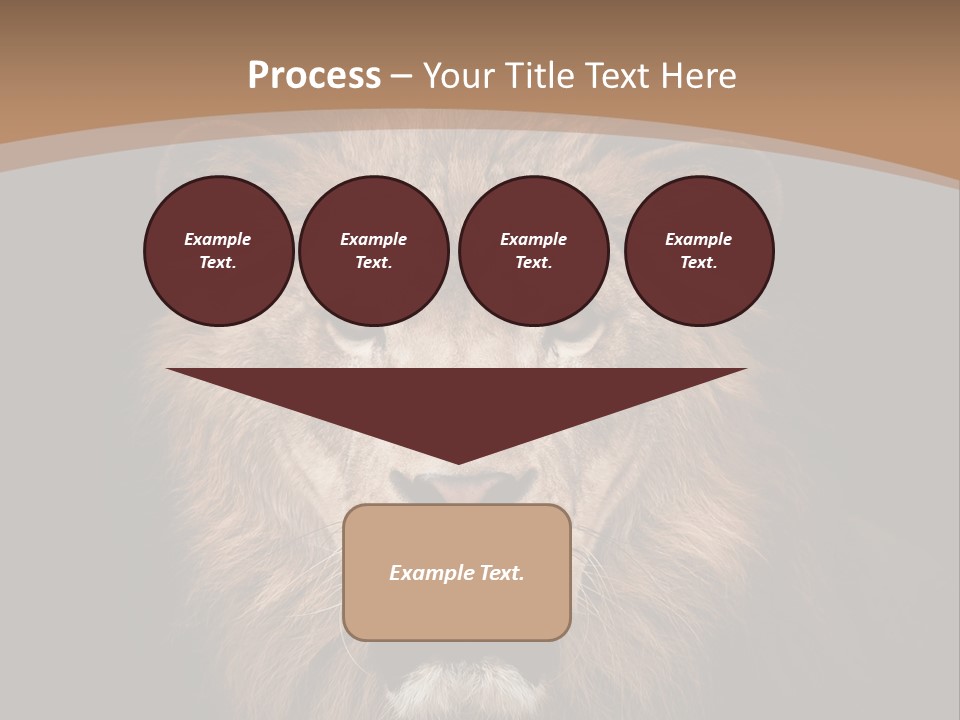 Wild Furry Closeup PowerPoint Template