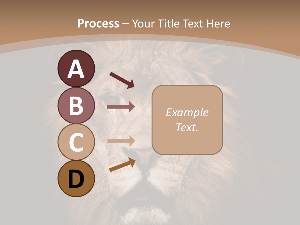 Wild Furry Closeup PowerPoint Template