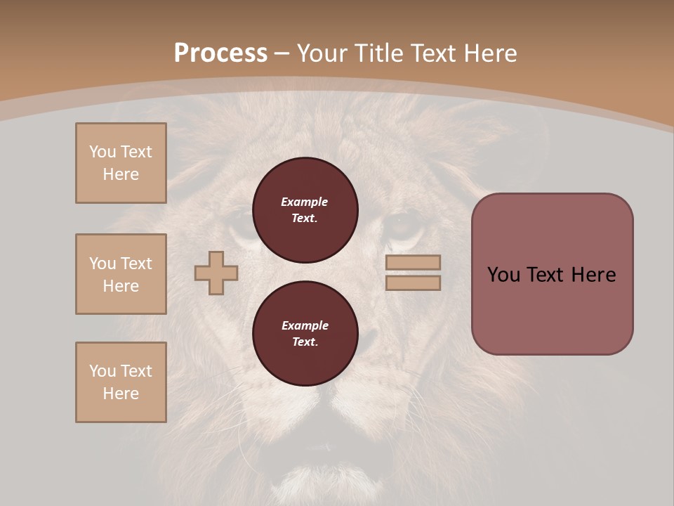 Wild Furry Closeup PowerPoint Template