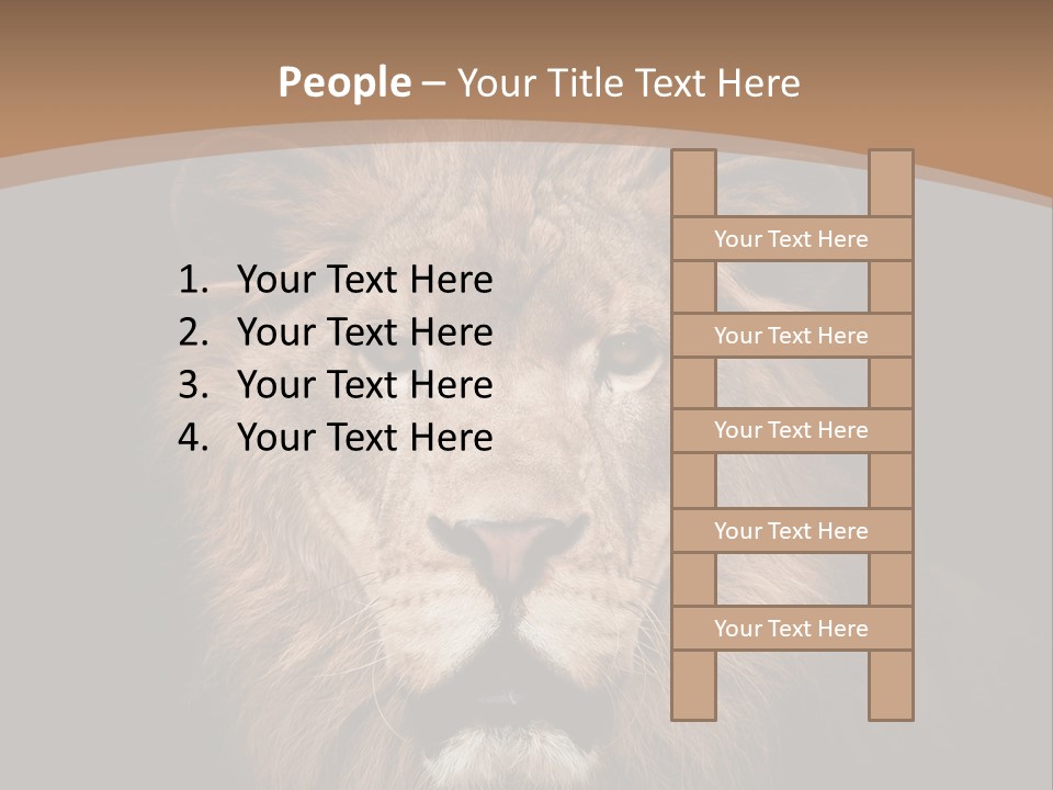 Wild Furry Closeup PowerPoint Template
