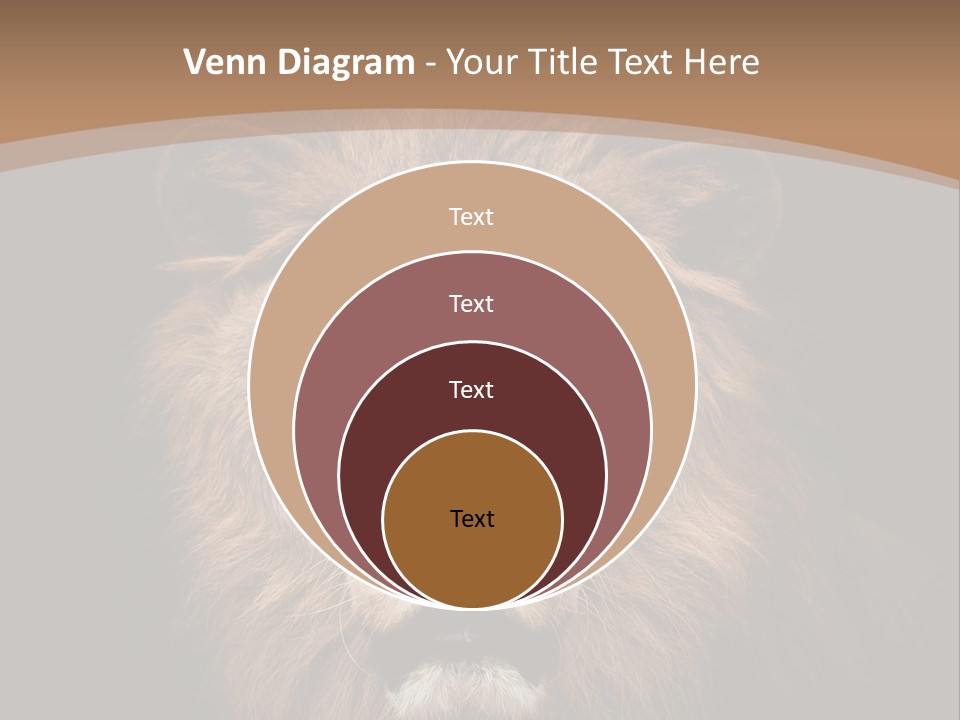 Wild Furry Closeup PowerPoint Template