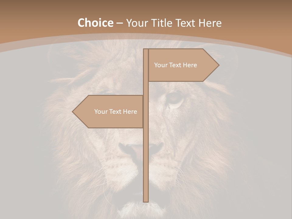 Wild Furry Closeup PowerPoint Template