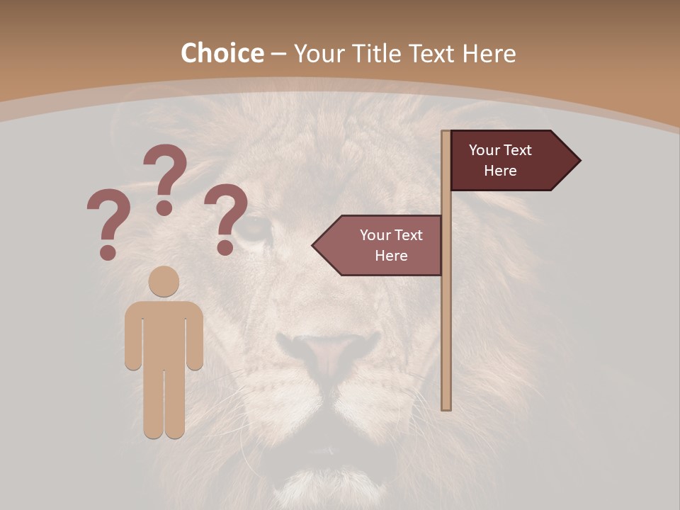 Wild Furry Closeup PowerPoint Template