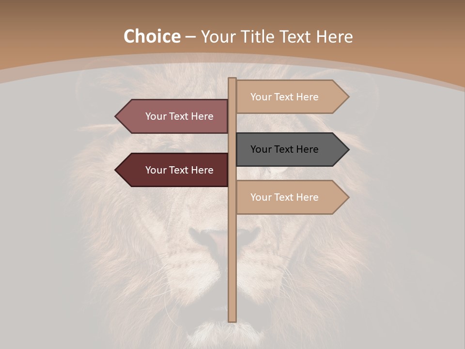 Wild Furry Closeup PowerPoint Template