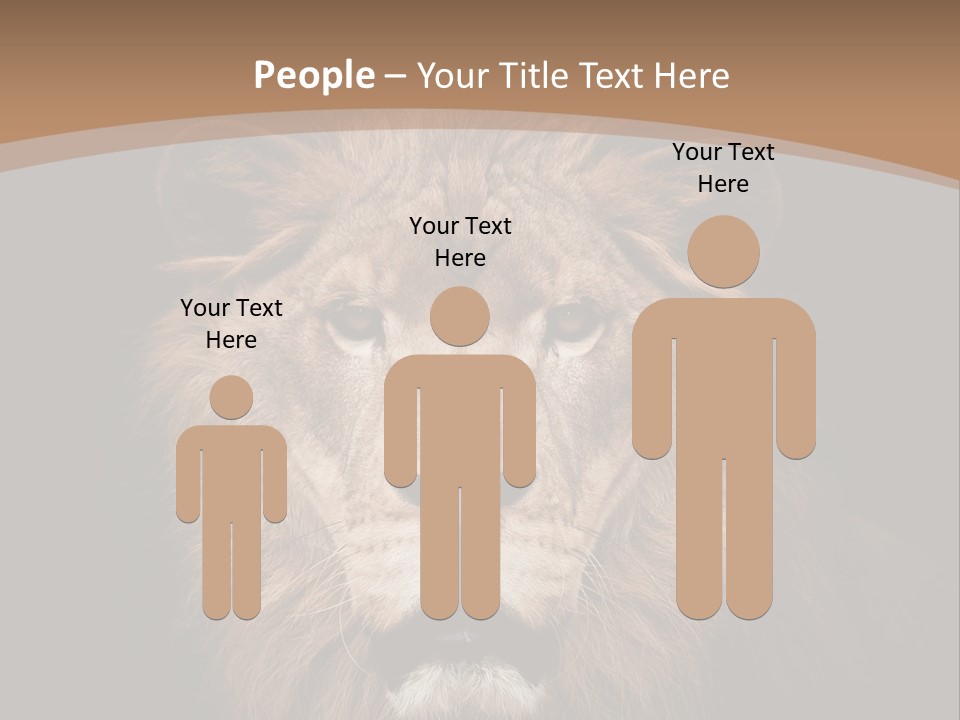 Wild Furry Closeup PowerPoint Template
