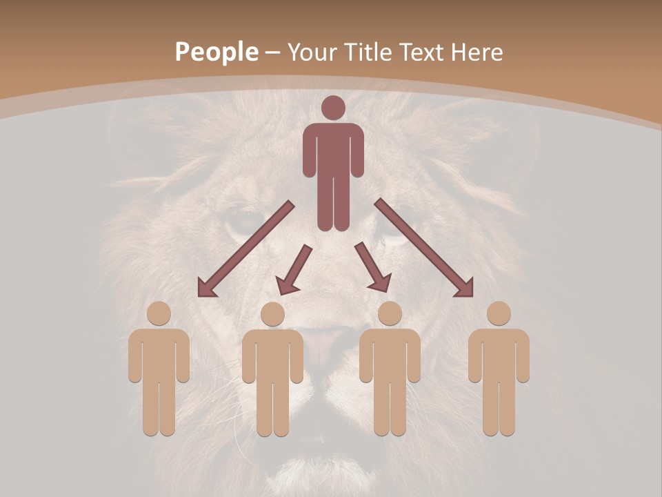 Wild Furry Closeup PowerPoint Template