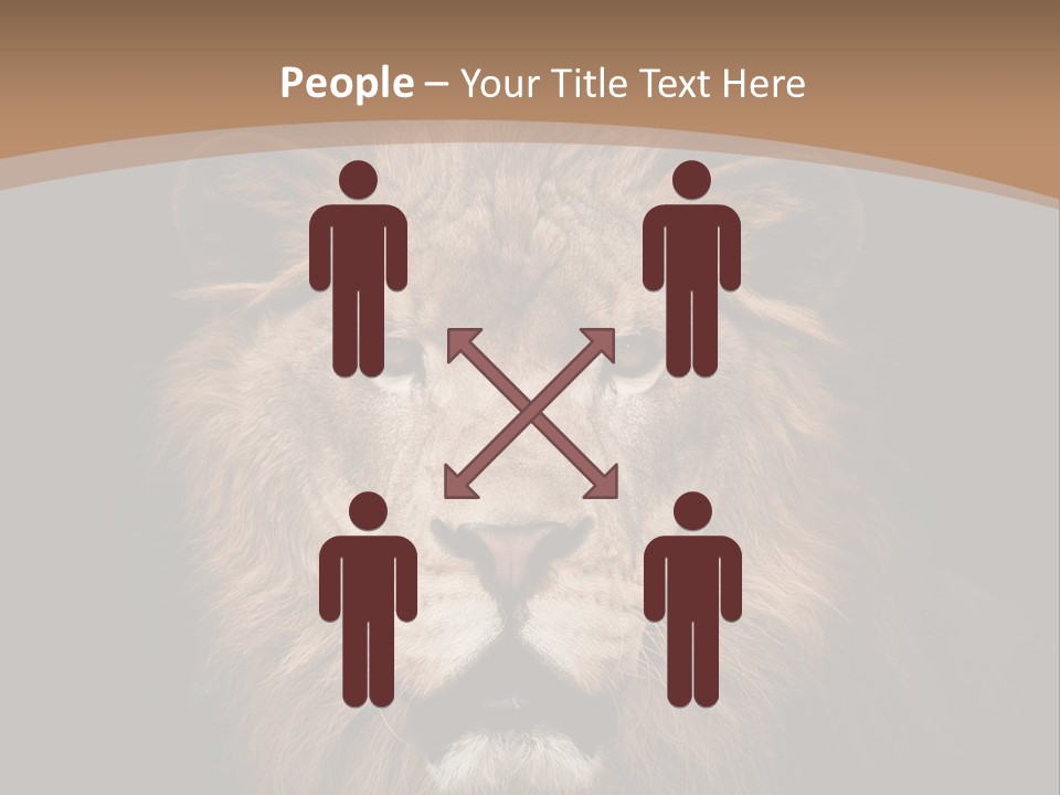 Wild Furry Closeup PowerPoint Template