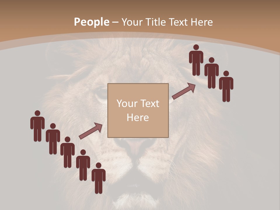 Wild Furry Closeup PowerPoint Template