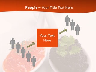 Salted Luxury Two PowerPoint Template