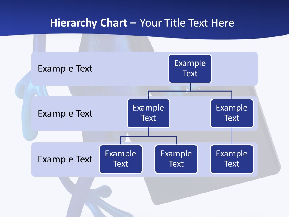 Animal Ecology Tropics PowerPoint Template