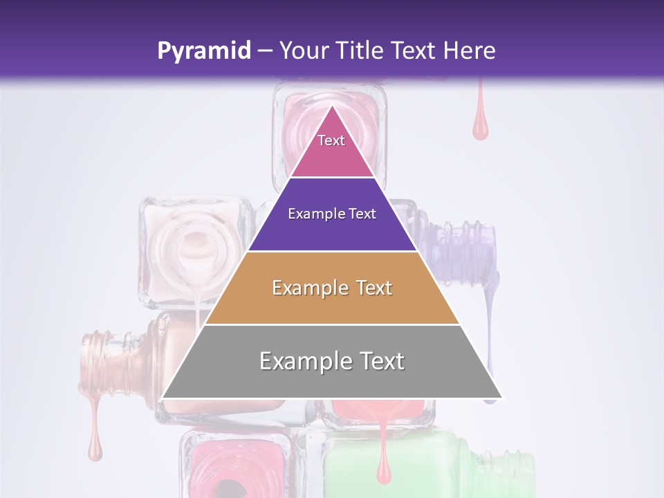 Bright Elegance Colour PowerPoint Template