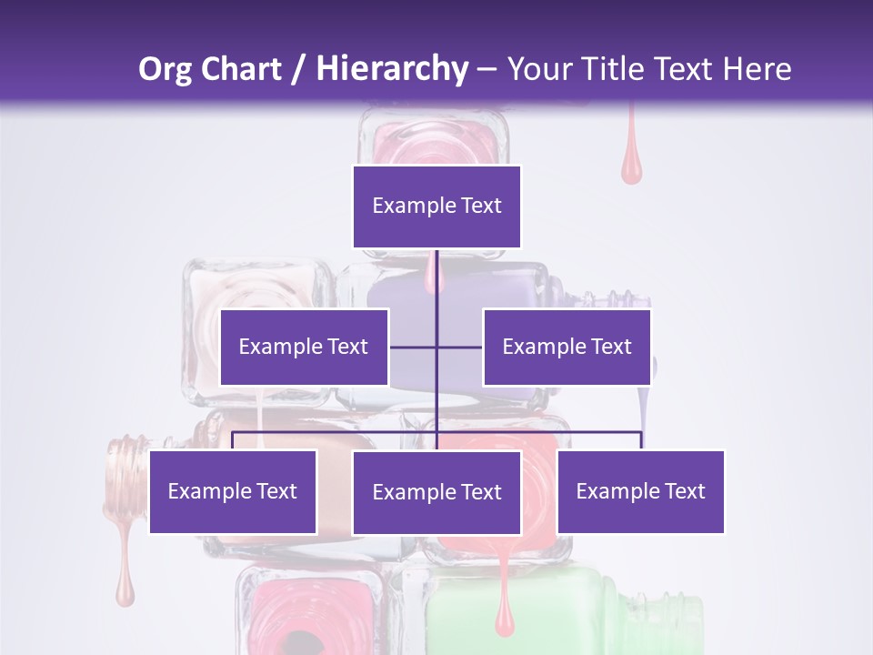 Bright Elegance Colour PowerPoint Template