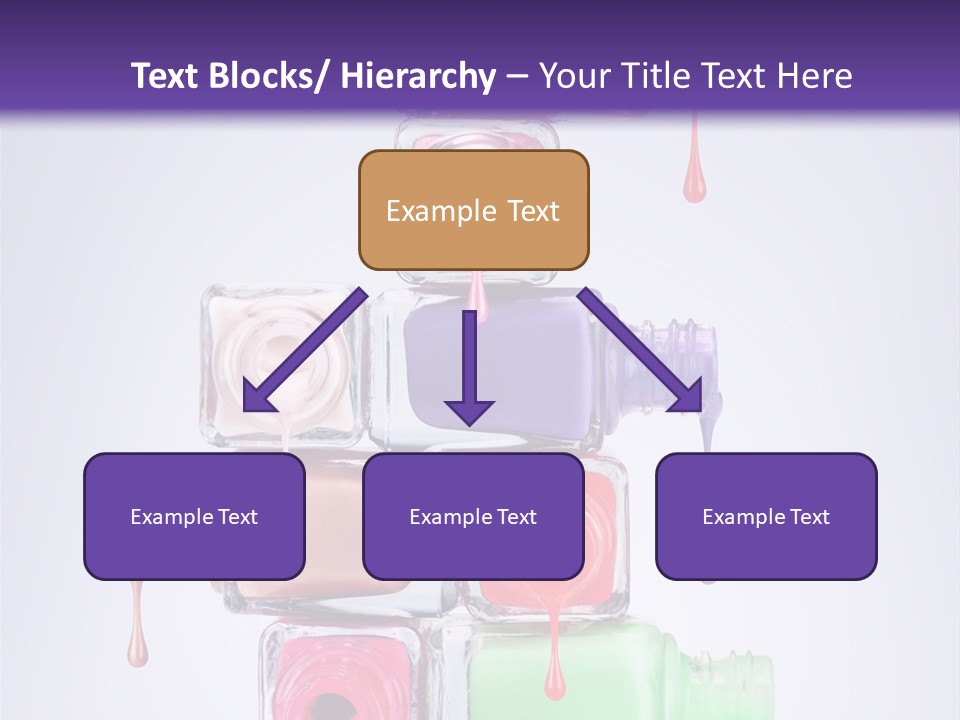 Bright Elegance Colour PowerPoint Template