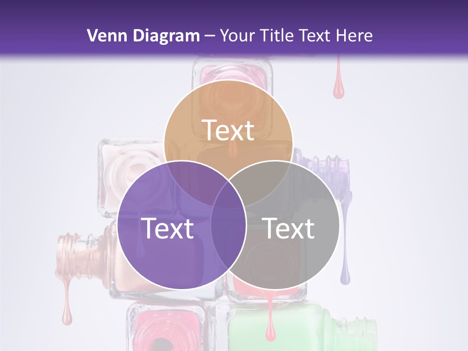 Bright Elegance Colour PowerPoint Template