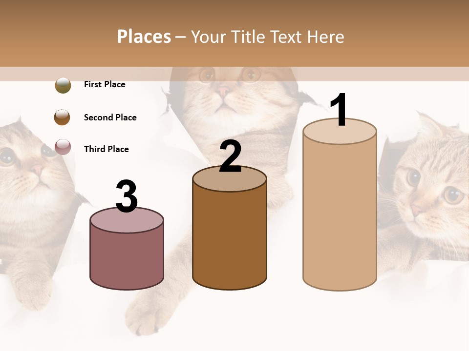 Hole Pedigreed Isolated PowerPoint Template