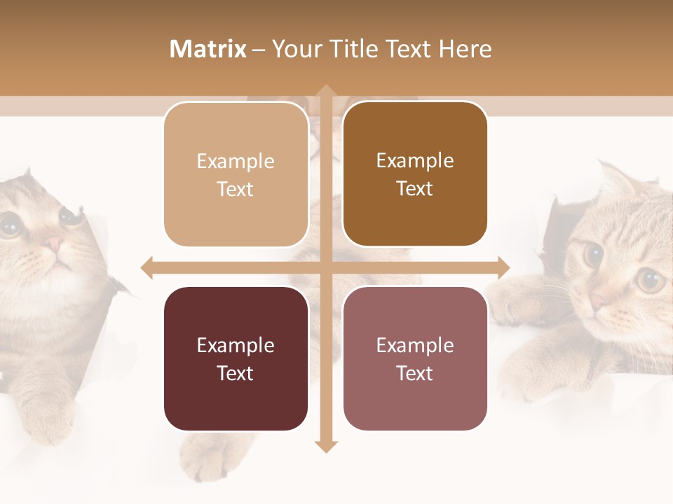 Hole Pedigreed Isolated PowerPoint Template