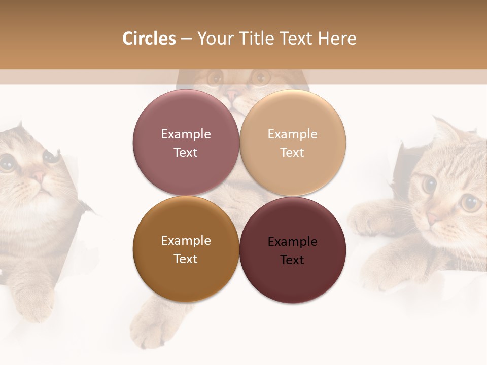 Hole Pedigreed Isolated PowerPoint Template