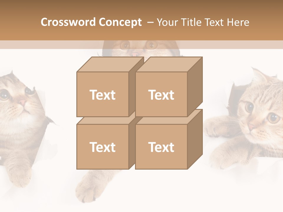 Hole Pedigreed Isolated PowerPoint Template