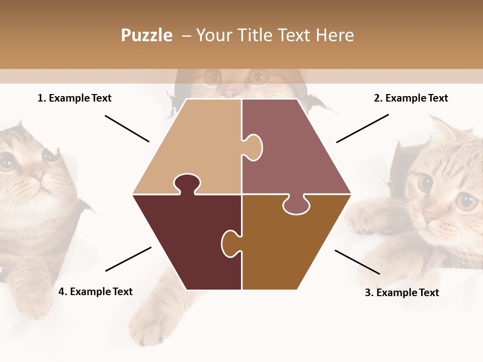 Hole Pedigreed Isolated PowerPoint Template