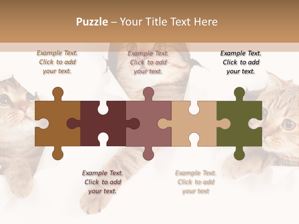 Hole Pedigreed Isolated PowerPoint Template