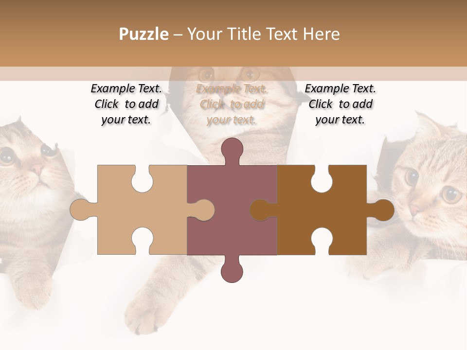 Hole Pedigreed Isolated PowerPoint Template