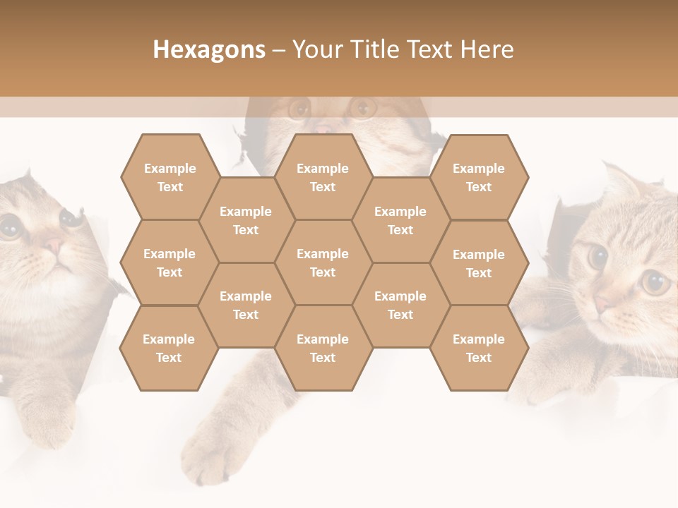 Hole Pedigreed Isolated PowerPoint Template