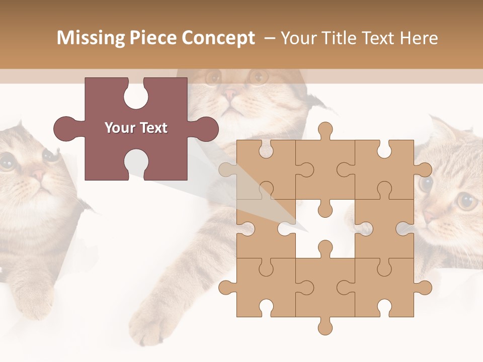 Hole Pedigreed Isolated PowerPoint Template