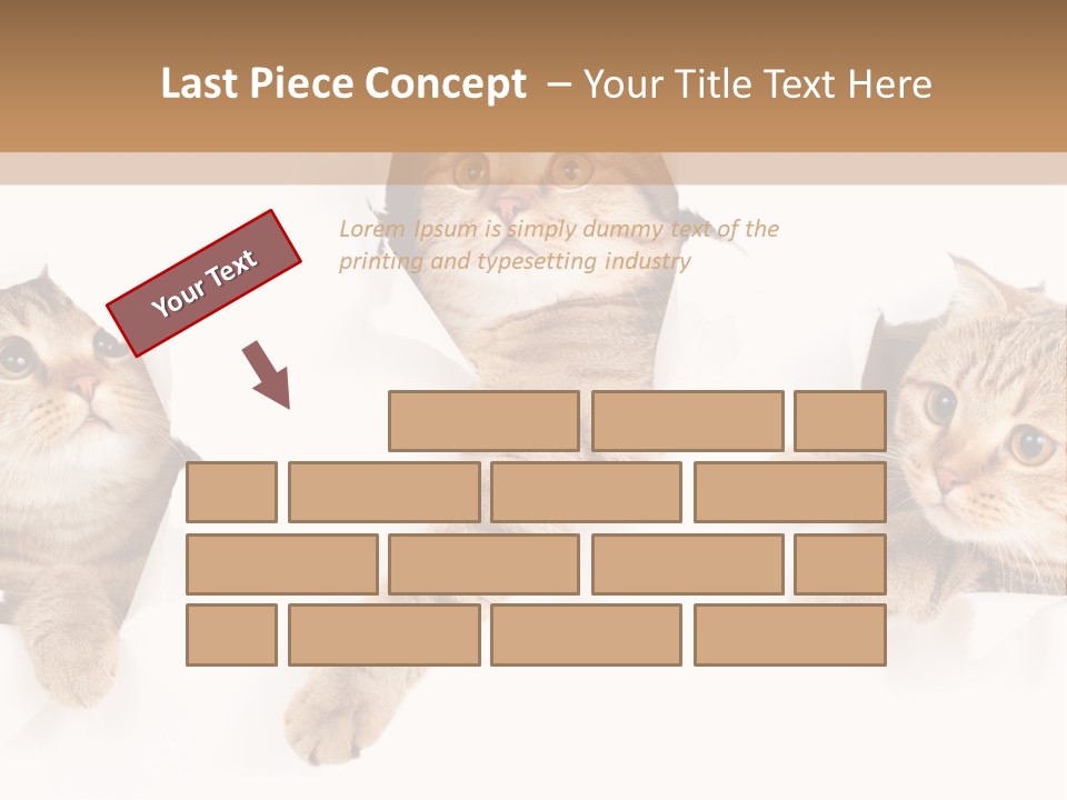 Hole Pedigreed Isolated PowerPoint Template