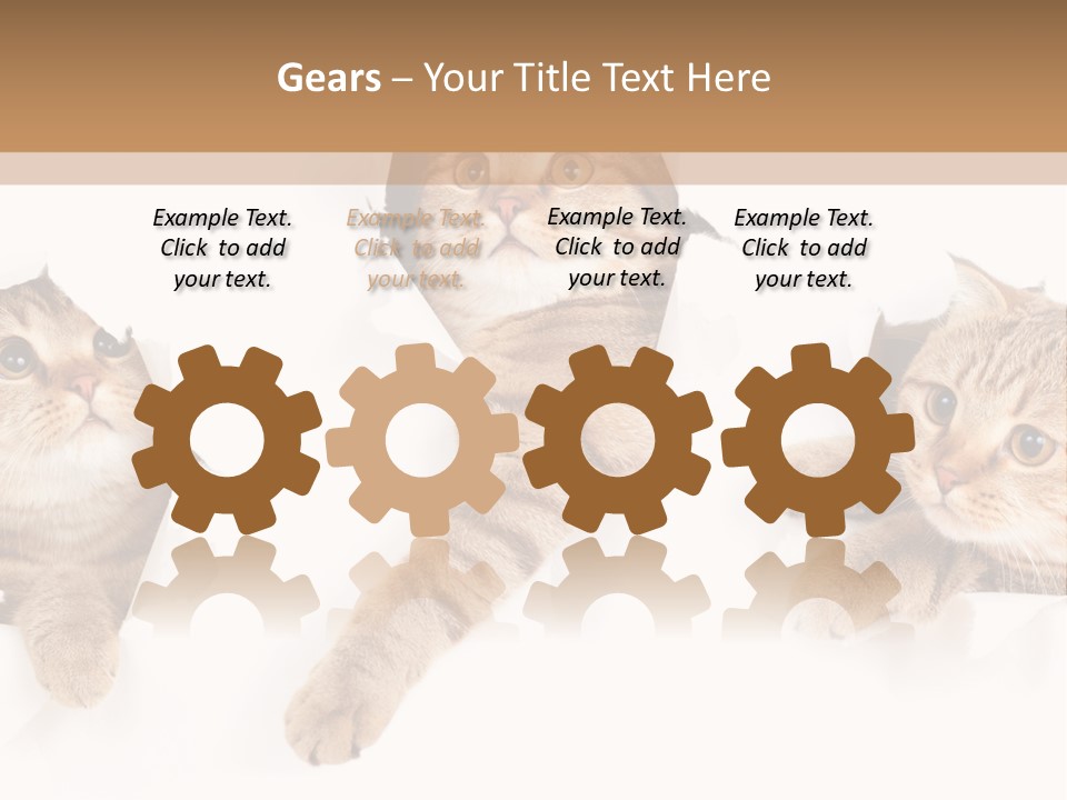 Hole Pedigreed Isolated PowerPoint Template