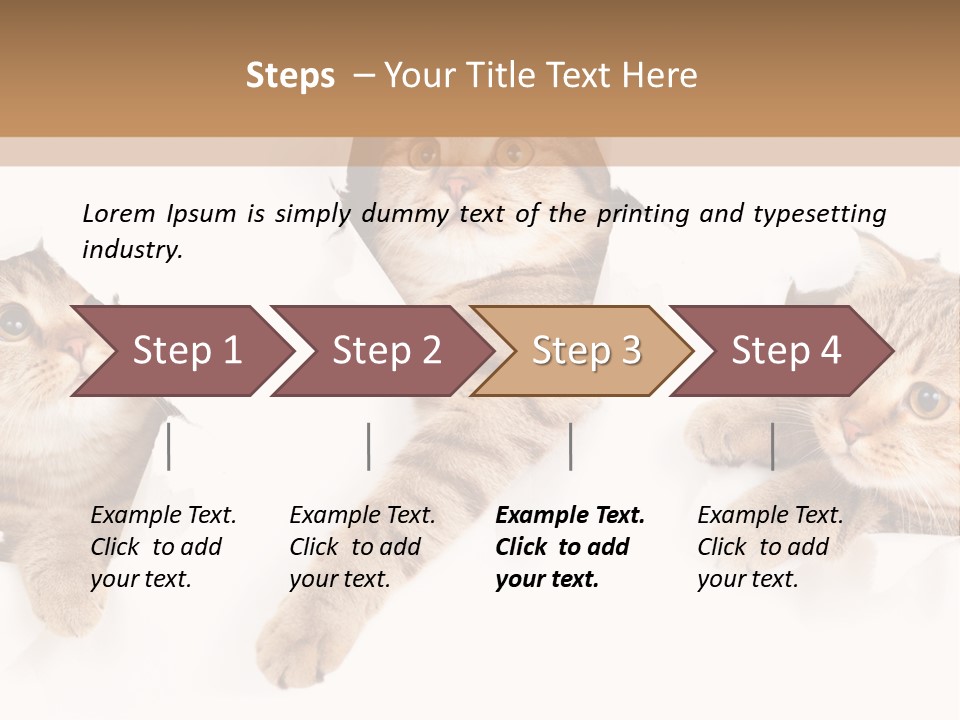 Hole Pedigreed Isolated PowerPoint Template