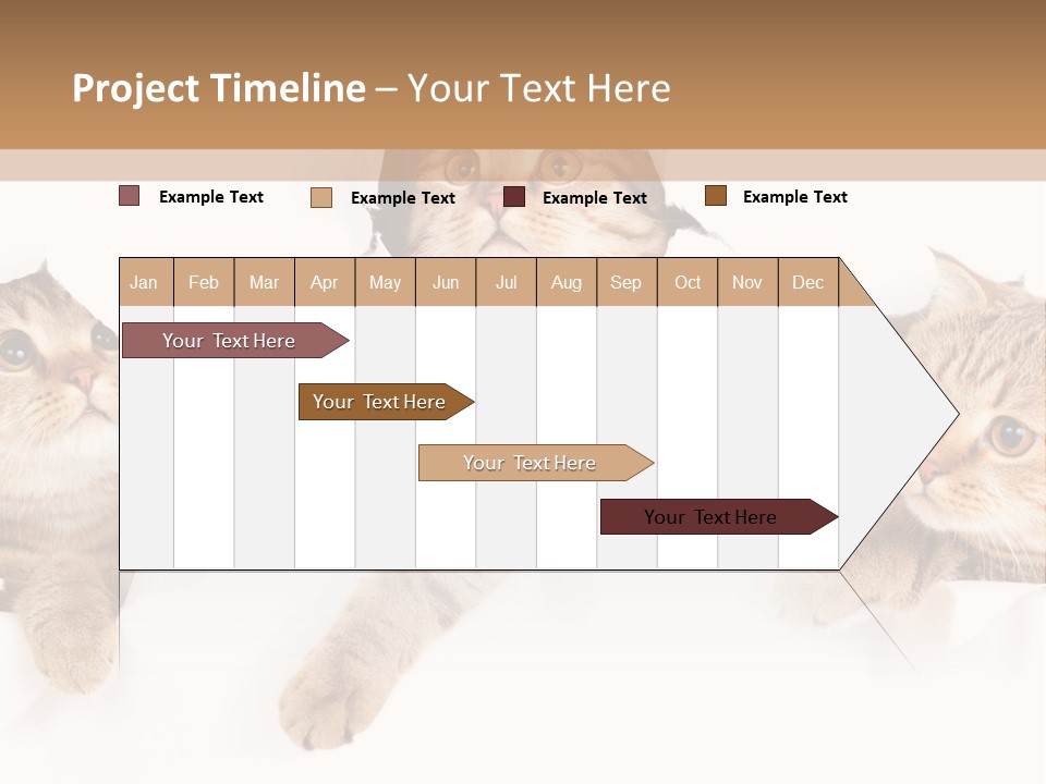 Hole Pedigreed Isolated PowerPoint Template