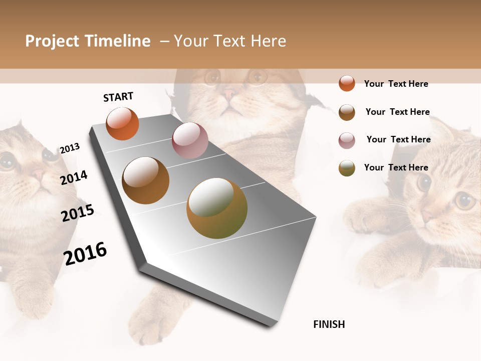 Hole Pedigreed Isolated PowerPoint Template
