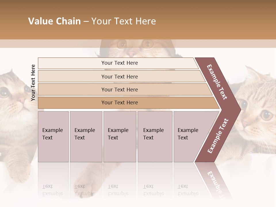 Hole Pedigreed Isolated PowerPoint Template