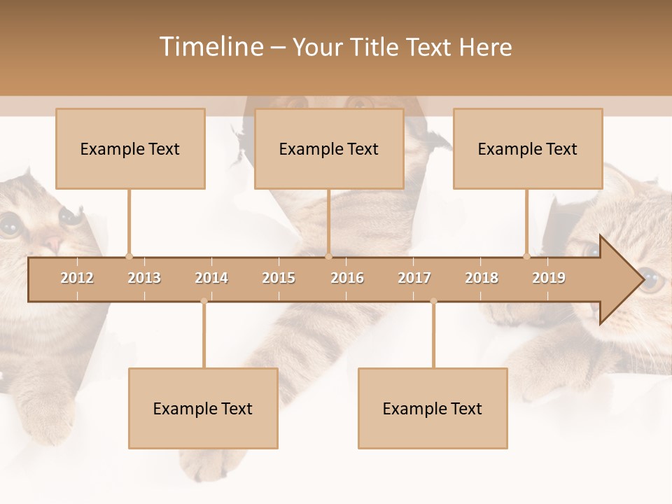 Hole Pedigreed Isolated PowerPoint Template