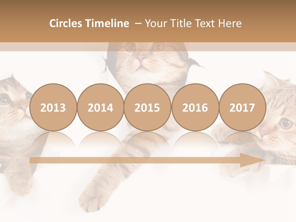 Hole Pedigreed Isolated PowerPoint Template