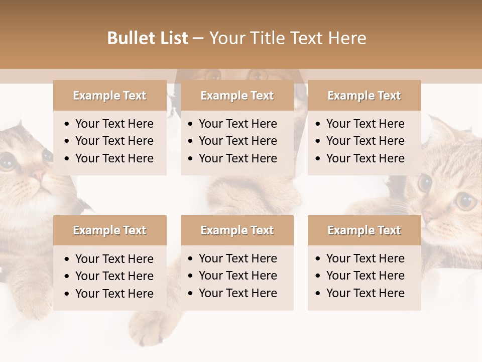 Hole Pedigreed Isolated PowerPoint Template