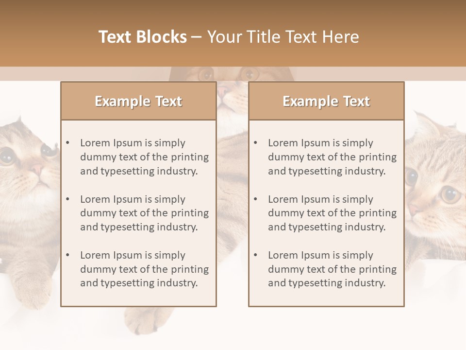 Hole Pedigreed Isolated PowerPoint Template
