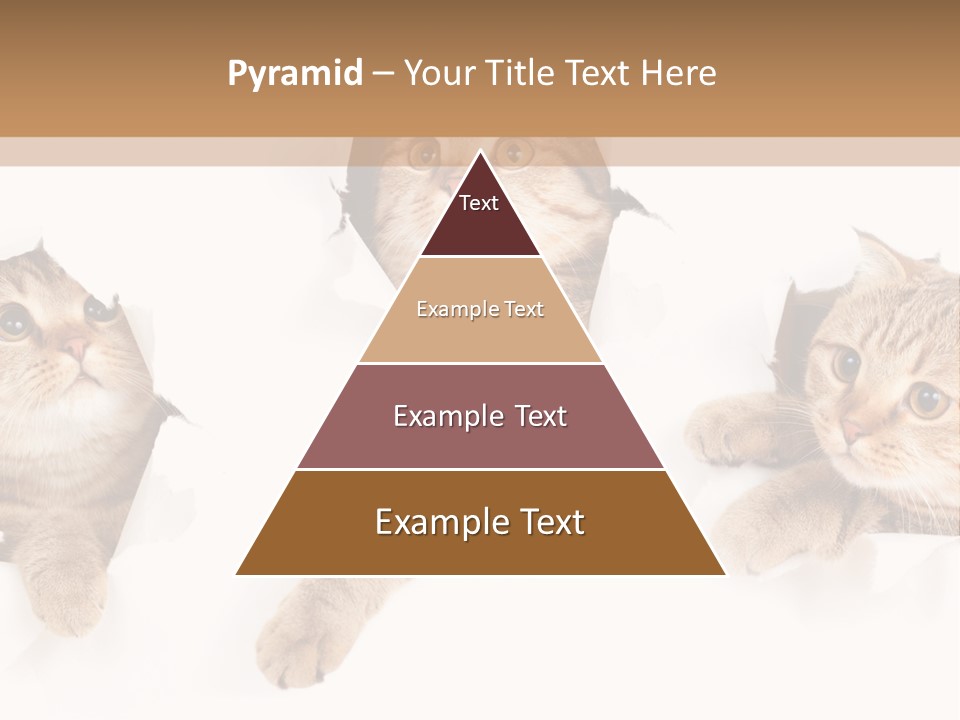 Hole Pedigreed Isolated PowerPoint Template