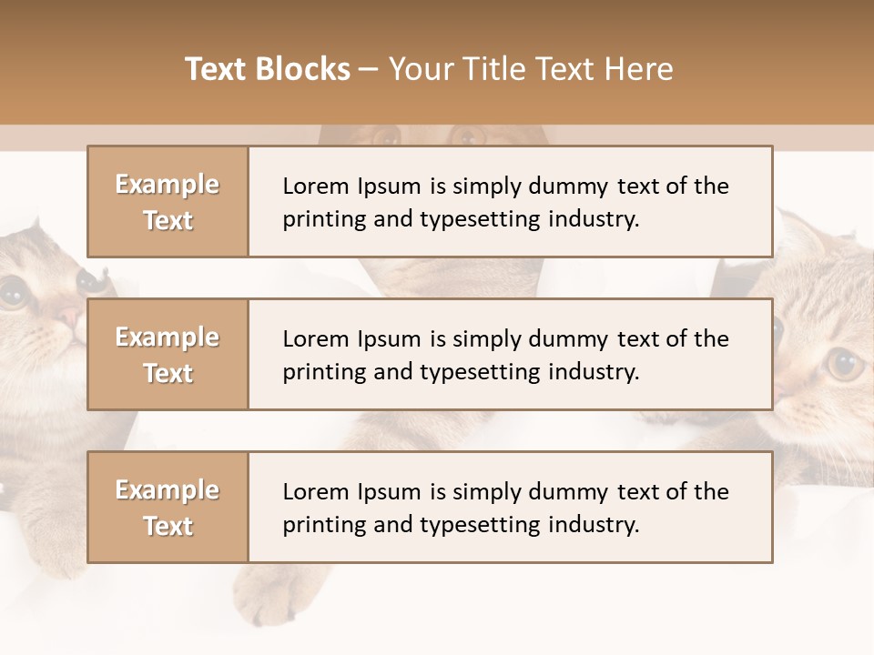 Hole Pedigreed Isolated PowerPoint Template