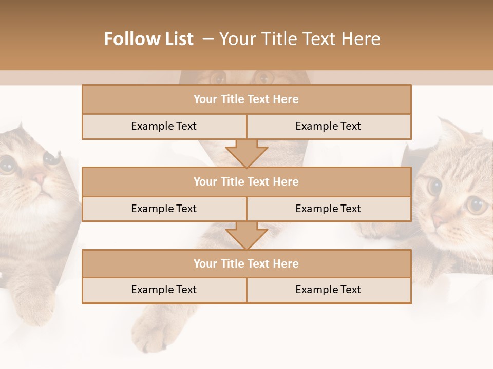 Hole Pedigreed Isolated PowerPoint Template