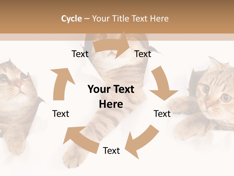 Hole Pedigreed Isolated PowerPoint Template