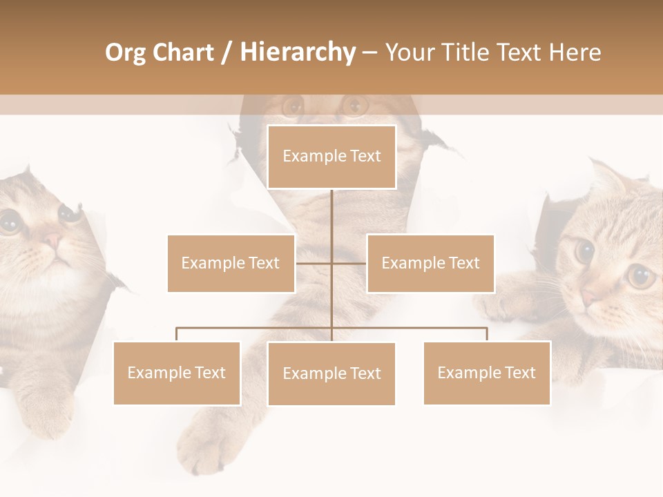 Hole Pedigreed Isolated PowerPoint Template