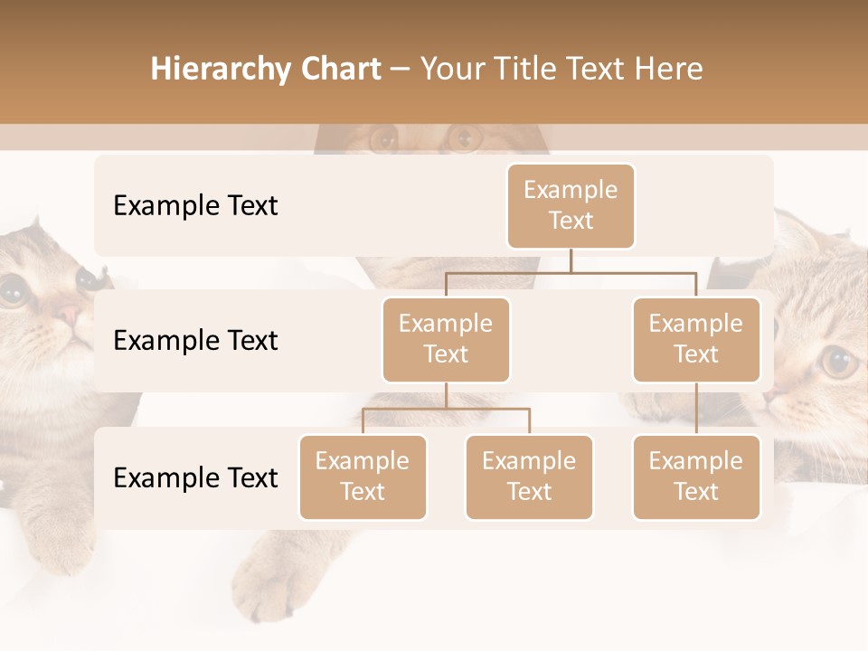 Hole Pedigreed Isolated PowerPoint Template