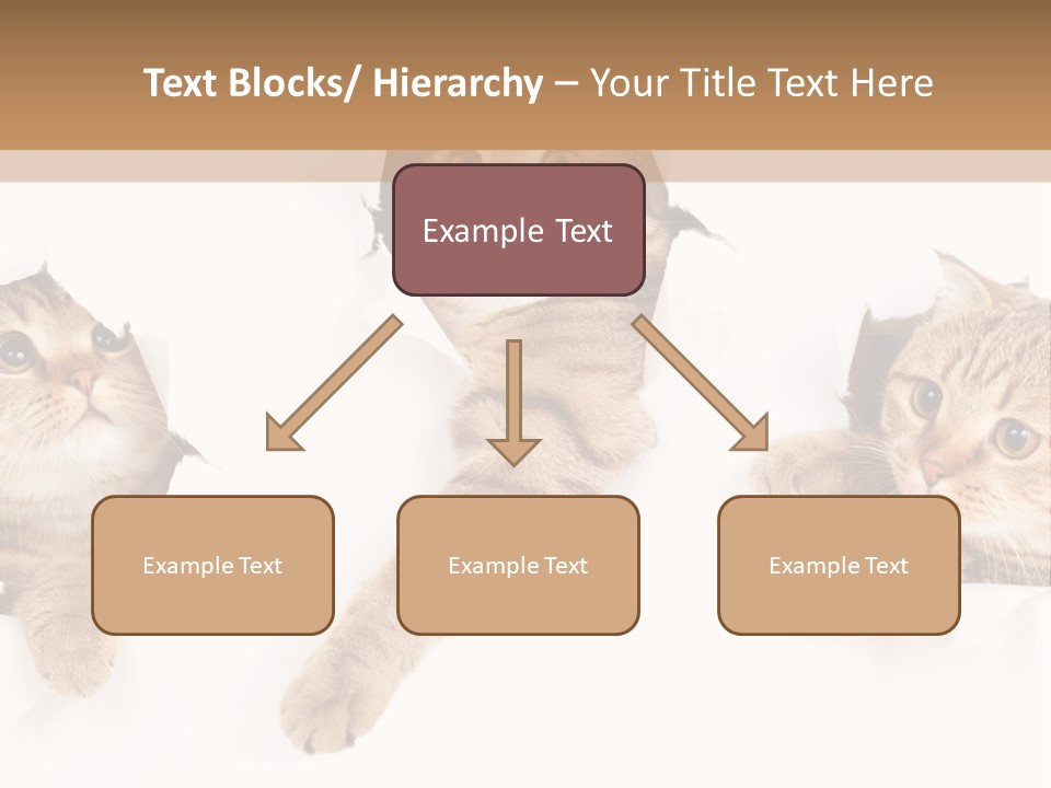Hole Pedigreed Isolated PowerPoint Template