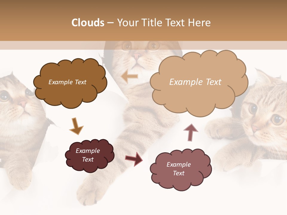 Hole Pedigreed Isolated PowerPoint Template
