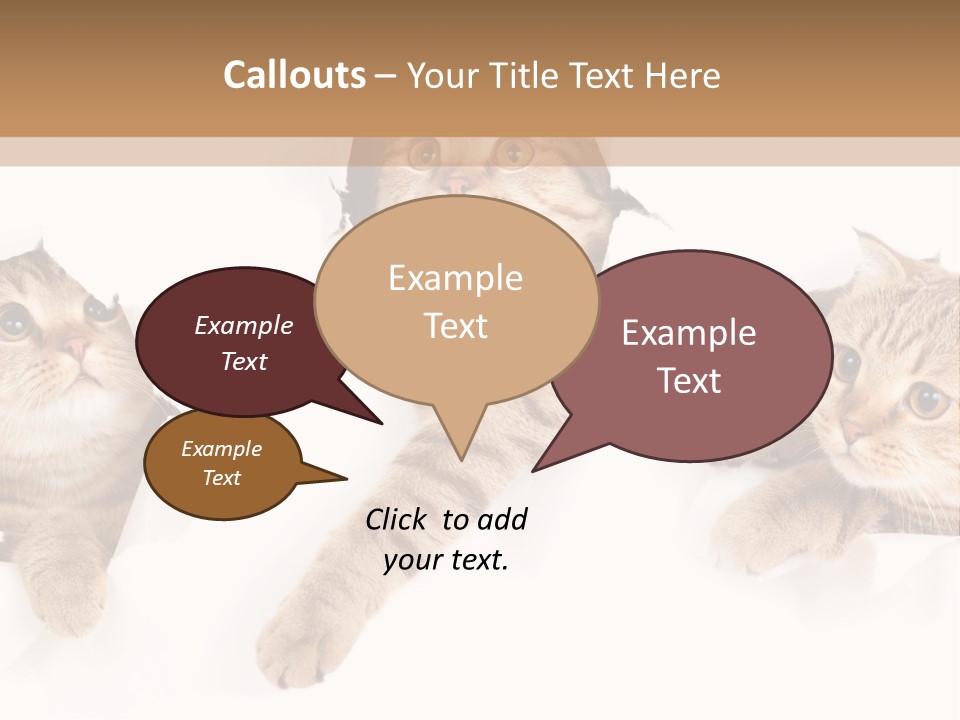 Hole Pedigreed Isolated PowerPoint Template
