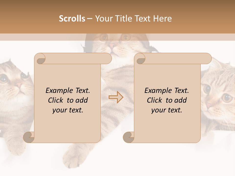 Hole Pedigreed Isolated PowerPoint Template