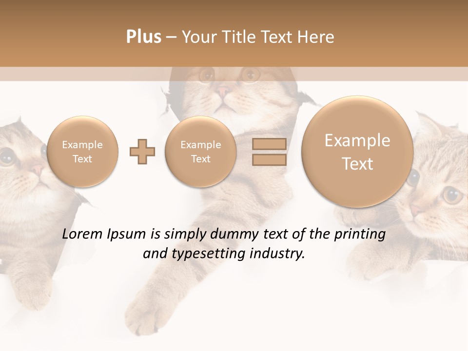 Hole Pedigreed Isolated PowerPoint Template