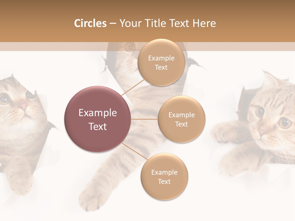 Hole Pedigreed Isolated PowerPoint Template