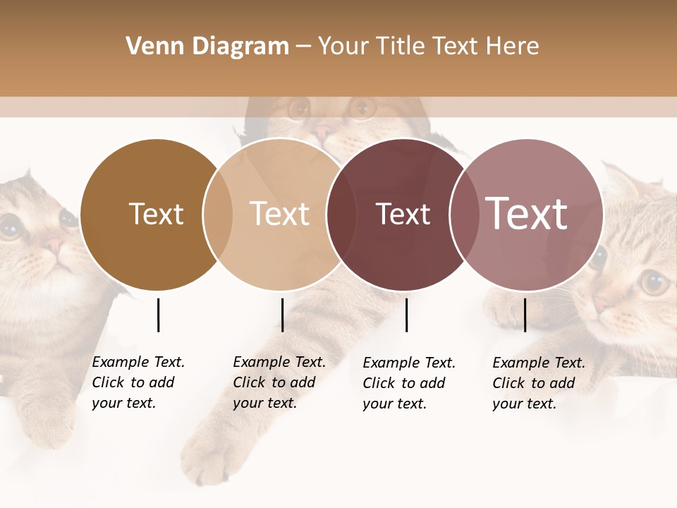 Hole Pedigreed Isolated PowerPoint Template